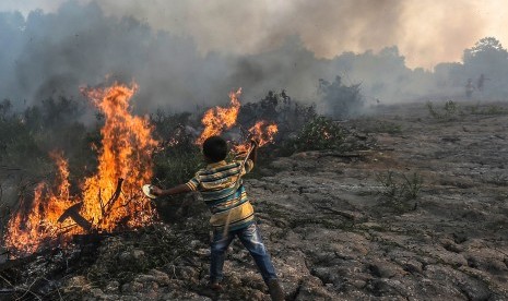 Seorang bocah beursaha memadamkan kebakaran lahan dengan alat seadanya di Desa Kayu Arehh, Kertapati Palembang, Sumatera Selatan, Minggu, (18/8/2019). 