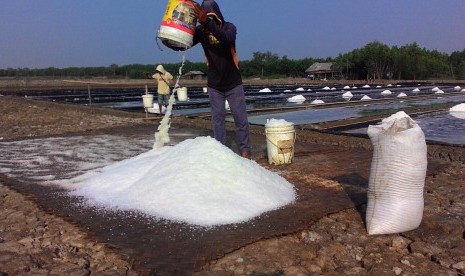 Petambak asal Desa Ciparagejaya, Kecamatan Tempuran, Karawang, sedang memanen garam (foto ilustrasi). 