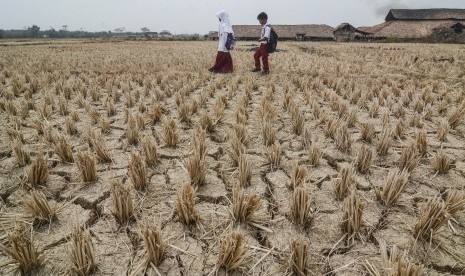 Dua anak sekolah melintasi sawah yang mengering di Desa Ridomanah, Cibarusah, Kabupaten, Bekasi, Jawa Barat.