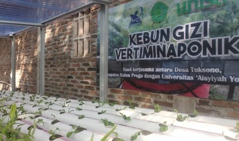 Pengembangan kebun gizi vertiminaponik yang dilakukan tiga dosen  Universitas Aisyiyah (Unisa) Yogyakarta kepada masyarakat Desa Tuksono.