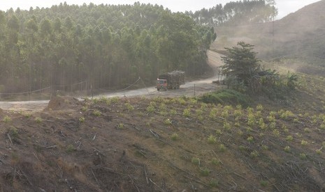 Lahan Hutan Tanaman Industri (HTI) milik ITCI Hutani Manunggal di Penajam Paser Utara, Kalimantan Timur, Rabu (28/8/2019).