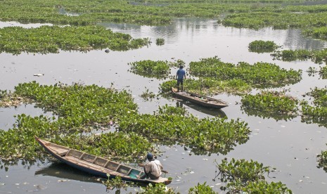 Warga mencari ikan diantara tanaman Eceng pada permukaan Sungai Citarum di kawasan Cihampelas, Kabupaten Bandung Barat, Jawa Barat, Kamis (29/8/2019). 