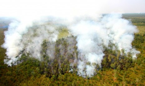 Foto udara api membakar semak belukar ketika terjadi kebakaran hutan dan lahan di Kabupaten Banjar, Kalimantan Selatan, Kamis (29/8/2019).