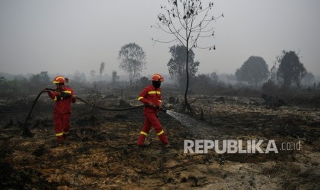 Petugas menangani kebakaran hutan dan lahan di Desa Merbau, Kecamatan Bunut, Pelalawan, Riau, Selasa (17/9/2019).