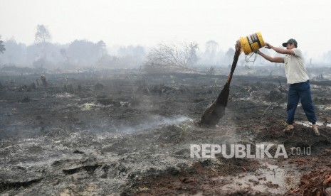 Warga memadamkan sisa kebakaran hutan dan lahan di Desa Merbau, Kecamatan Bunut, Pelalawan, Riau, Selasa (17/9/2019).