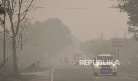 Kendaraan melintas di Jalan Trans Kalimantan yang diselimuti asap di daerah Panarung, Palangka Raya, Kalimantan Tengah, Selasa (17/9/2019). 