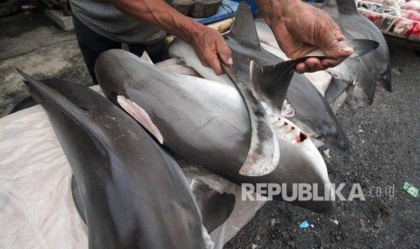 Pedagang memotong sirip ikan hiu hasil tangkapan nelayan di pasar lelang ikan Kota Lhokseumawe, Aceh, Rabu (18/9/2019).