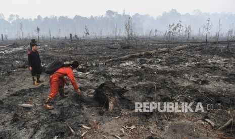 Petugas Taman Nasional berada di lahan hutan Taman Nasional Sebangau yang telah terbakar di Palangka Raya, Kalimantan Tengah, Kamis (19/9/2019).