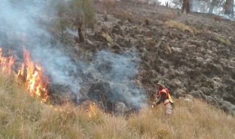 Petugas dan tim Balai Besar Taman Nasional Bromo, Tengger dan Semeru (BB TNBTS) melakukan koordinasi dan pemadaman di titik api baru pada jalur pendakian Gunung Semeru.