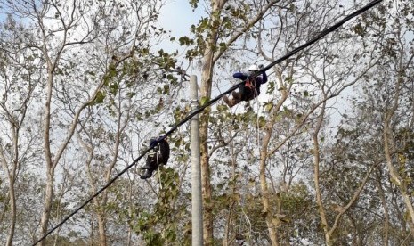 Petugas mengerjakan proyek pembangunan jaringan listrik untuk melistriki Pantai G-Land Alas Purwo, Banyuwangi.