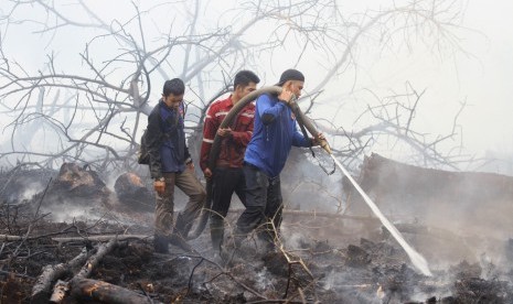 Relawan pemadam kebakaran berupaya memadamkan kebakaran hutan dan lahan (karhutla) di Desa Handil Usang, Kabupaten Kapuas, Kalimantan Tengah, Senin (30/9/2019).