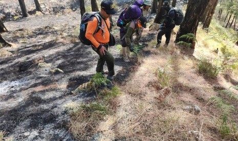 Petugas masih berupaya memadamkan api kebakaran di Gunung Arjuno sejak akhir pekan lalu. 