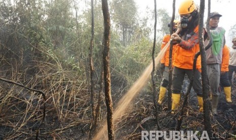 Petugas gabungan memadamkan kebakaran hutan dan lahan (karhutla) di Pedamaran Timur, Kabupaten Ogan Komering Ilir, Provinsi Sumatra Selatan (ilustrasi).