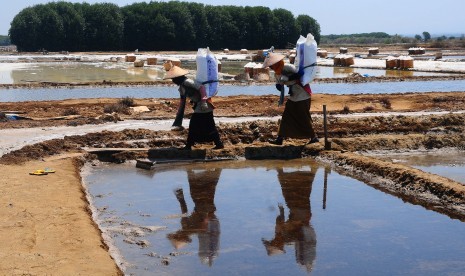 Petani memanen garam di area tambak garam desa Kedung, Jepara, Jawa Tengah, ilustrasi.