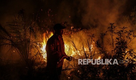 Petugas BPBD Kota Pekanbaru memadamkan api yang membakar lahan gambut di Pekanbaru, Riau, Ahad (6/10/2019) malam.