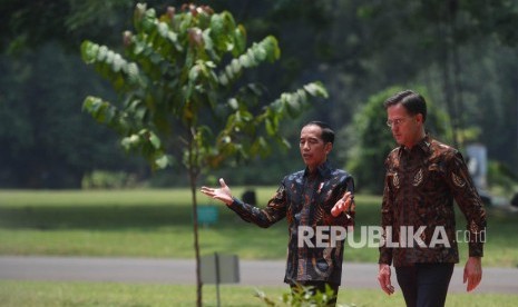 Presiden Joko Widodo (kiri) berbincang dengan PM Belanda Mark Rutte, sebelum pertemuan di Istana Bogor, Jawa Barat, Senin (7/10/19).