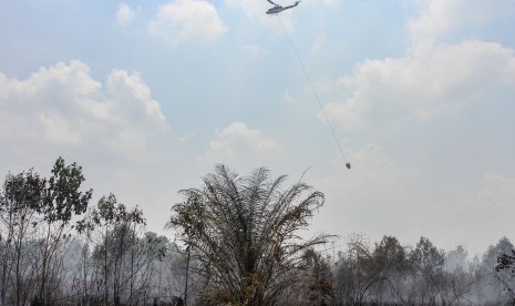 Helikopter Badan Nasional Penanggulangan Bencana (BNPB) melakukan 'water bombing' di atas lahan gambut yang terbakar di Pekanbaru, Riau, Senin (7/10/2019). 