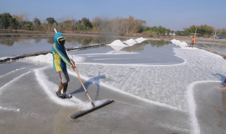 Petani memanen garam di Desa Bunder, Pamekasan, Jawa Timur, Selasa (8/10/2019).