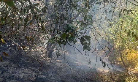 Kebakaran di kawasan Semeru masih tersisa satu titik.