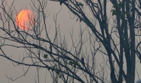 Matahari terlihat diselimuti kabut asap karhutla di Muara Sabak Barat, Tanjungjabung Timur, Jambi, Rabu (9/10/2019).