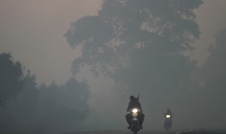 Ilustrasi asap akibat kebakaran hutan dan lahan.