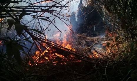 Titik api di Blok Ledok Tirem, Gunung Semeru masih dalam proses pemadaman,  Kamis (17/10). 