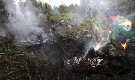 Relawan pemadam kebakaran berupaya memadamkan kebakaran lahan gambut di Kecamatan Gambut, Kabupaten Banjar, Kalimantan Selatan, Senin (21/10/2019).