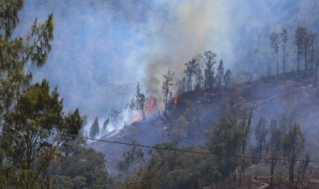 Kebakaran Gunung Ranti terlihat dari Paltuding, Gunung Ijen, Banyuwangi, Jawa Timur, Selasa (22/10/2019).