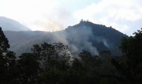 Kawasan cagar alam Gunung Guntur, Kabupaten Garut, Jawa Barat.