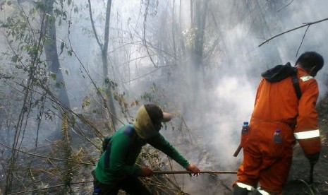 Proses pemadaman kebakaran di Gunung Guntur, Kabupaten Garut.