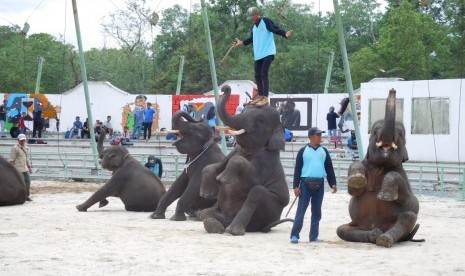 Aktivis Masyarakat Anti-Sirkus Hewan Indonesia menolak eksploitasi dan penyiksaan gajah pada Festival Way Kambas di Bundaran Tugu Adipura Kota Bandar Lampung, Kamis (7/11).