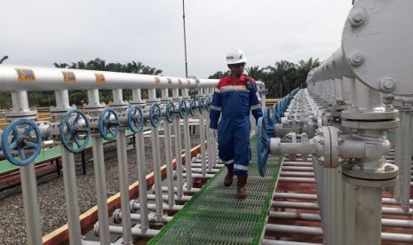 PT Pertamina EP Asset 1 Rantau Field di Aceh Tamiang hingga Oktober  2019 telah memproduksi minyak mentah sebesar 3.163 Barel Oil Per Day (BOPD) atau  118,3 persen, lebih tinggi dari target untuk 2019 sebesar 2.938 BOPD atau 103,5 persen.  Begitu juga produksi gas sudah mencapai 3,6 Mile Standard Cubic Feet per Day (MMSCFD) atau 104,4 persen, lebih tinggi dari target yang ditetapkan untuk 2019 sebesar 3,5 MMSCFD atau 101,9 persen.