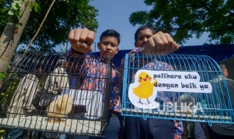 Perwakilan siswa menunjukkan anak ayam yang diberikan Wali Kota Bandung Oded M Danial di Gedebage, Bandung, Jawa Barat, Kamis (21/11/2019). 