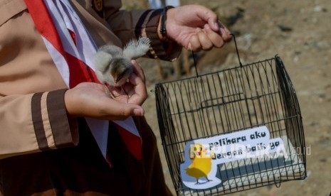 Perwakilan siswa menunjukan anak ayam yang diberikan Wali Kota Bandung Oded M Danial. Wali Kota Bandung Oded M Danial akan mengevaluasi program bagi-bagi anak ayam.