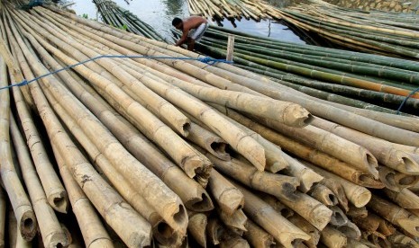 Bambu (ilustrasi). Pemkab Lebak melalui Dinas Pariwisata menggelar Lebak Bamboo Festival 2019 menggandeng pengrajin bambu.