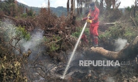 BMKG mencatat ada 3 titik panas di Riau. Foto: Personel Manggala Aqni melakukan pemadaman karhutla gambut di lahan masyarakat di Kecamatan Lalolae, Kolaka Timur, Sulawesi Tenggara, Selasa (3/12/2019).