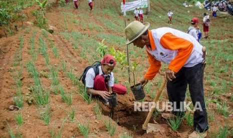 2.167 Hektare Lahan di Kota Serang Kritis. Seorang pelajar sekolah dasar membantu petani menanam bibit pohon di lahan kritis.