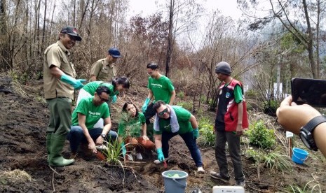 Grup vokal Barasuara turut melakukan penghijauan kawasan komservasi kawasan Taman Isata Alam (TWA) Kawah ijen, Banyuwangi, Jawa Timur, Senin (16/12). Kegiatan itu bekerja sama dengan Bakti Lingkungan Djarum Foundation melalui program Siap Sadar Lingkungan. 