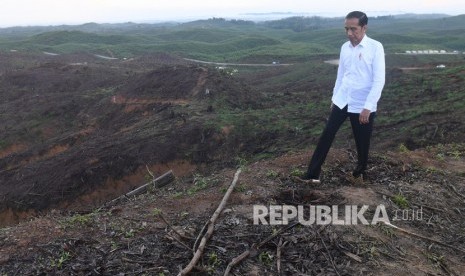 Presiden Joko Widodo meninjau lokasi rencana ibu kota baru di Sepaku, Penajam Paser Utara, Kalimantan Timur, Selasa (17/12/2019). Presiden yakin ibu kota baru akan bisa digunakan pada 2024.