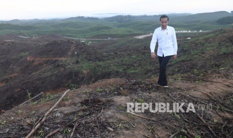 Presiden Joko Widodo meninjau lokasi rencana ibu kota baru di Sepaku, Penajam Paser Utara, Kalimantan Timur, Selasa (17/12/2019). 