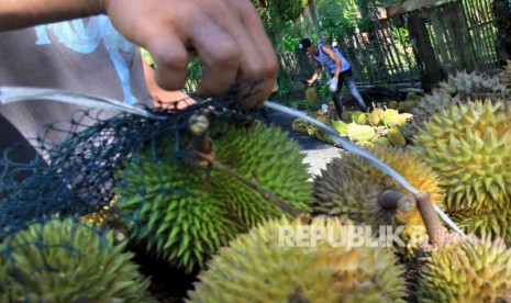 Penjual durian di Pontianak sangat mudah ditemukan di sejumlah ruas jalan. Ilustrasi.