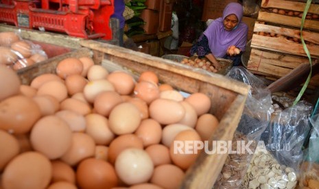 Pedagang menyortir telur ayam, ilustrasi