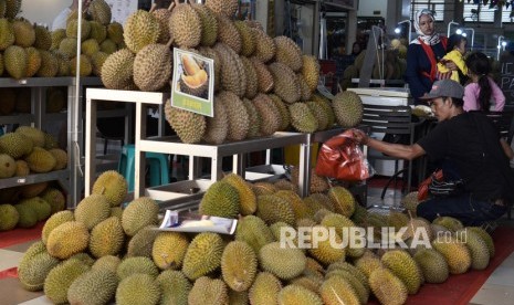  Tradisi 'menyandau' durian masih dijalankan masyarakat pelosok desa di Kabupaten Kotawaringin Barat, Kalimantan Tengah.  Foto:Pedagang menata buah durian yang dijual pada Festival Durian Nusantara di Pasar Sipansa, Bekasi, Jawa Barat, Selasa (24/12/2019).