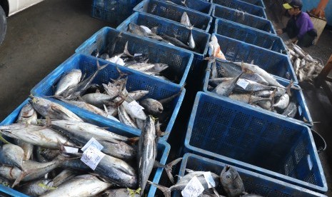 Pekerja mengumpulkan ikan di tempat pelelangan ikan Karangsong, Indramayu, Jawa Barat, Sabtu (28/12/2019).