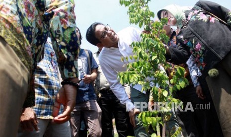 Menteri Desa dan Pembangunan Daerah Tertinggal dan Transmigrasi (PDTT) Abdul Halim Iskandar