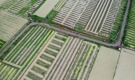 Foto aerial sawah terendam banjir 