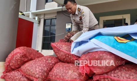 Seorang petugas memeriksa tumpukan karung berisi bawang merah illegal asal Malaysia saat rilis kasus di Stasiun Karantina Pertanian Kelas I Entikong, Kabupaten Sanggau, Kalimantan Barat, Rabu (15/1/2020).