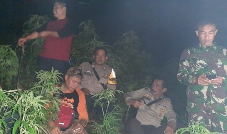 Jajaran Polres Garut menemukan 25 tanaman pohon ganja di sebuah lereng perbukitan.