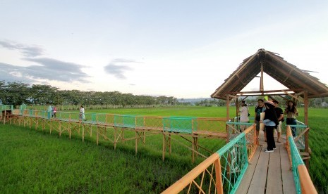 Wisata sawah. Lampung selain memiliki objek wisata alam, pantai maupun pegunungan yang menarik. Juga terdapat hamparan sawah yang luas dan menarik dijadikan destinasi wisata sawah.