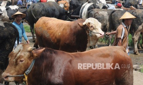 Pemerintah Kabupaten (Pemkab) Boyolali di Provinsi Jawa Tengah masih memperpanjang waktu penutupan lima pasar hewan hingga batas waktu yang belum ditentukan untuk mengendalikan penyebaran penyakit mulut dan kuku (PMK).